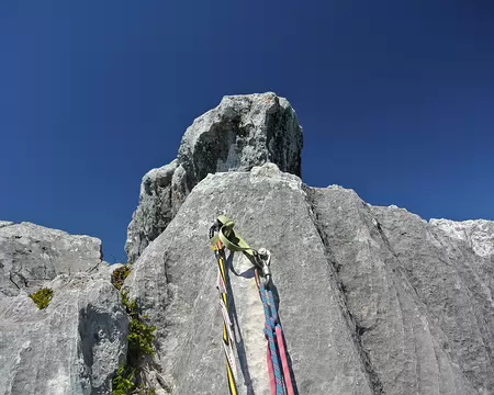 009 R7: sortie sur la pointe 1636m du Roc des Bœufs