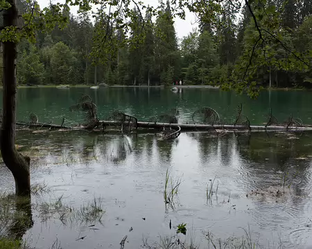 FM9A5154 Le lac vert est surtout humide