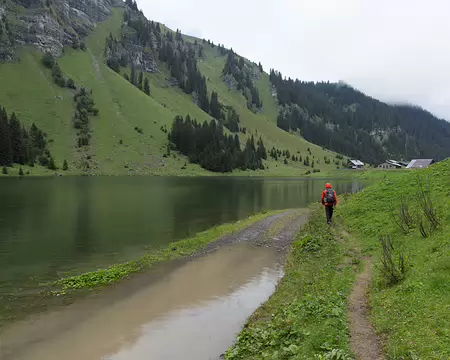 FM9A5458 Bon et maintenant, on fait quoi ?