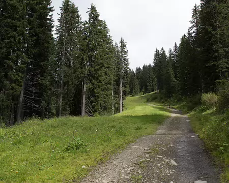 FM9A5474 On remonte :)