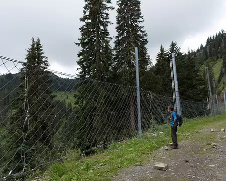 FM9A5478 Un filet pour empecher les skieurs...