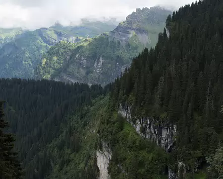 FM9A5480 de faire une chute fatale !