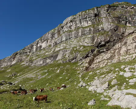 FM9A5533 Enfin le VRAI soleil !