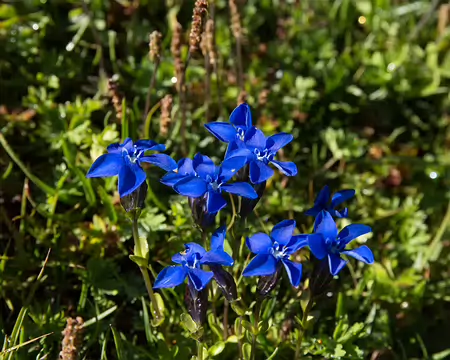 FM9A5569 C'est tout de même plus beau avec de la lumière !