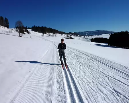 p1030600 Au fond, le Chasseral