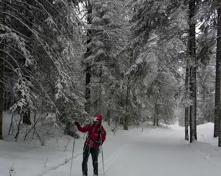p1030633 Aucun damage et la neige botte !