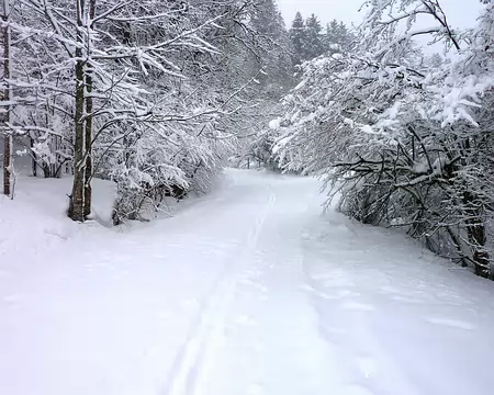 p1030637 Montée des Verrières-de-Joux