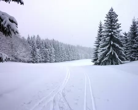 p1030639 Près des Granges Bailly