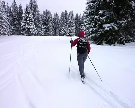 p1030640 Près des Granges Bailly