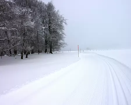 p1030648 Boucle du Chalet Dernier au col du Mollendruz