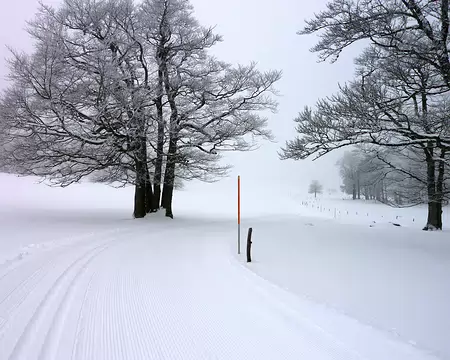p1030649 Boucle du Chalet Dernier au col du Mollendruz