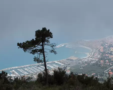 FM9A5611 A la limite basse des nuages...