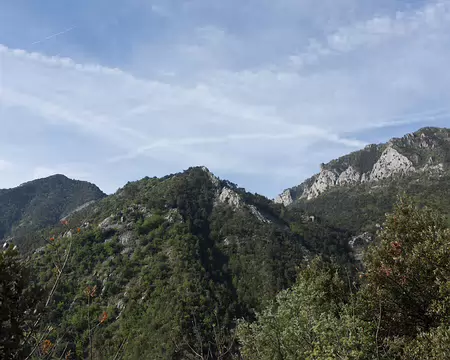 FM9A5723 A gauche le Gramondo (1379m) dont nous avons contourné le sommet la veille, à droite, le mont Mulacié (1326m)