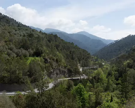 FM9A5798 Vallon de Tron