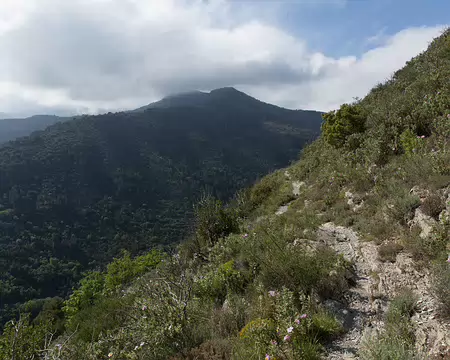 FM9A5897 Sentier valléen de la Roya