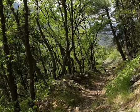 FM9A5899 Sentier valléen de la Roya