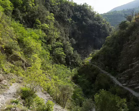 FM9A5915 Vallon de Carleva