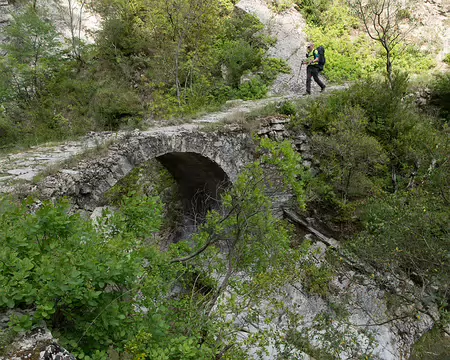 FM9A5918 Vallon de Carleva