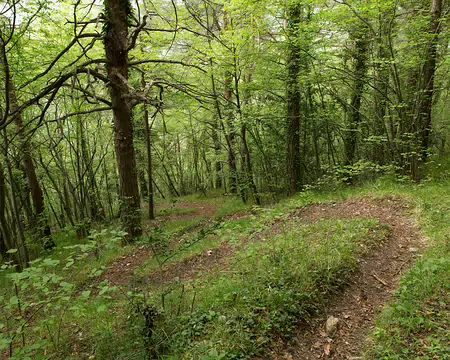 FM9A6110 Nombreux lacets sur le GR