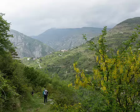FM9A6121 En vue de Saorge