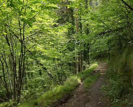 FM9A6329 Sentier valléen de la Roya