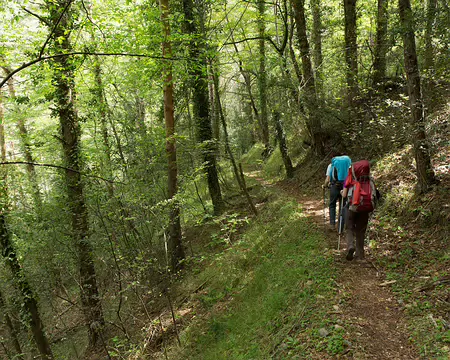 FM9A6348 Sentier valléen de la Roya
