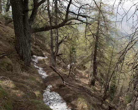 FM9A6720 Il reste de la neige début mai !