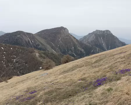 FM9A6764 Le mont Peïrevieille et le Toraggio