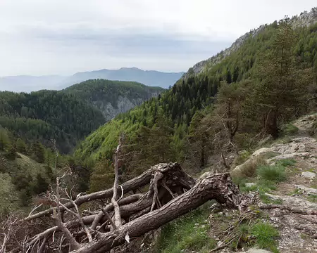 FM9A6906 Sentiero degli Alpini