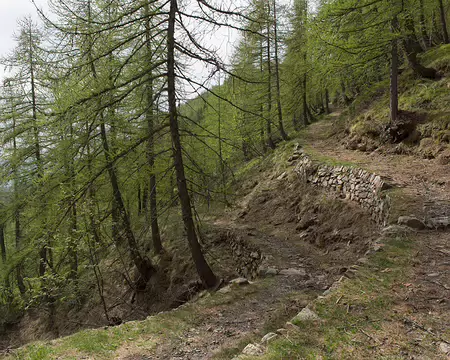 FM9A6914 Le « Sentiero degli Alpini » c’est celui de gauche