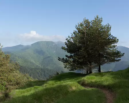 FM9A7303 A l’arrière plan on aperçoit le Mont Ceppo où nous passerons le lendemain
