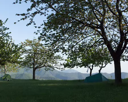 FM9A7319 Terrain de rêve pour planter sa tente !