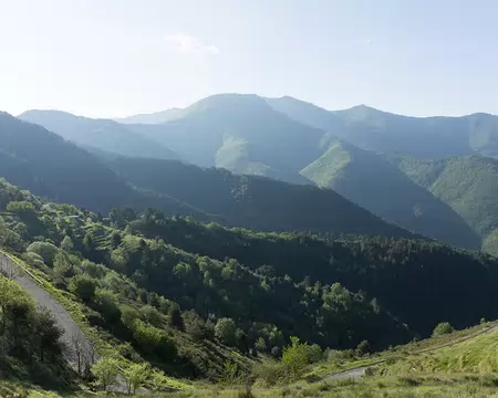 FM9A7333 Vue vers le Mont Ceppo (1627m)