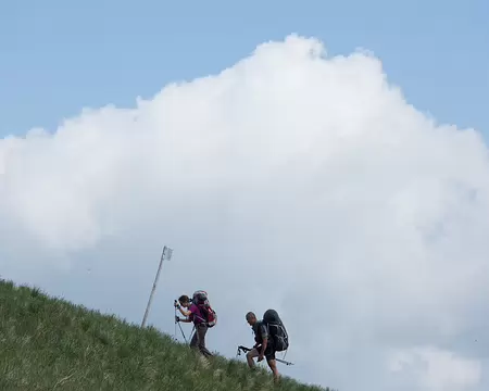 FM9A7388 A l’assaut du Mont Ceppo !