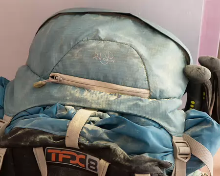 FM9A7513 Voilà ce qui arrive quand on « traverse » les branches d’un pin couché sur le sentier et particulièrement riche en pollen !