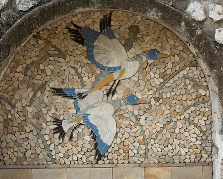 FM9A7958 Patrouille de... canards !