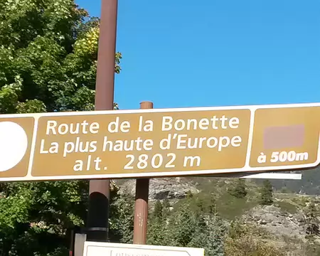 PXL017 C'est ce qu'ils disent ...