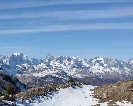 FM9A0444 Vue sur les Écrins. De gauche à droite : le Mont Pelvoux, le Pic Coolidge et le Fifre, la Barre des Écrins, le Dôme de Monêtier, la Montagne des Agneaux et le...