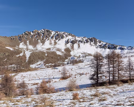FM9A0581 Le Chenaillet, notre objectif pour lundi