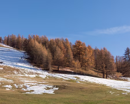 FM9A0598 Montgenèvre