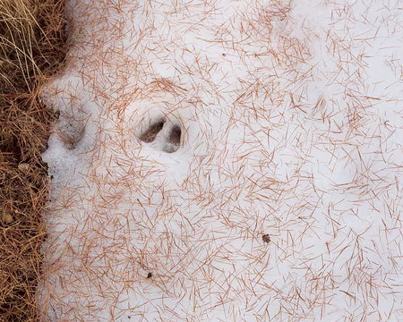 FM9A0632 Nous ne sommes pas les premiers à passer par là...