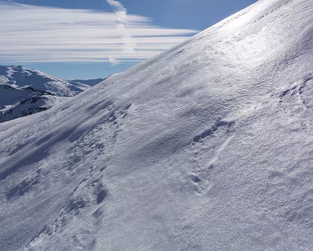 FM9A0674 Le sentier est juste là dessous, il faut y croire !