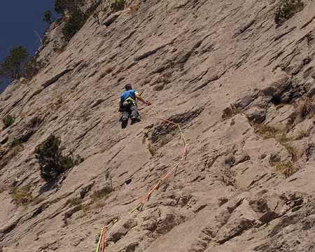 003 Placement précis des pieds sur de petites écailles