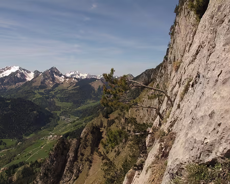 007 Les sommets du Chablais très enneigés