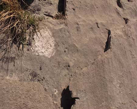015 Prudence vis-à-vis de telles écailles