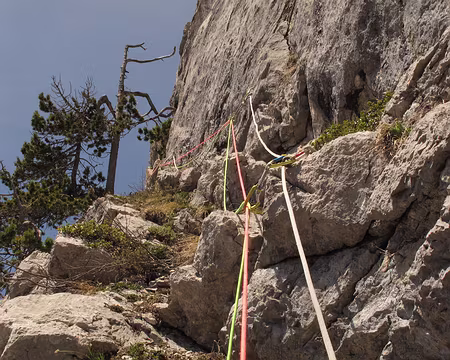 025 Vire parfaitement protégée