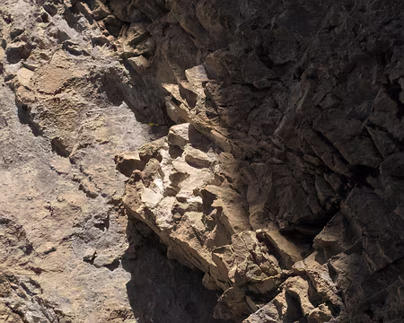 028 Ecailles plus que fragiles