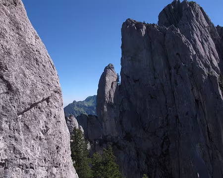 009 Soleil bienvenu, mais vent toujours marqué