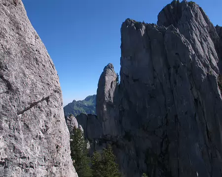009 Soleil bienvenu, mais vent toujours marqué