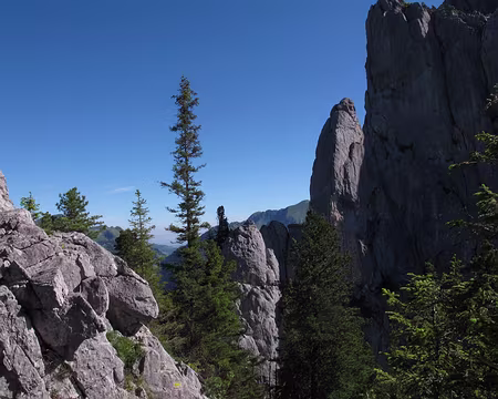 012 Descendre par une sente dans le versant est de l’Eggturm au col le séparant du Petit Pouce